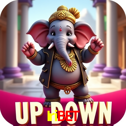 Security Systems Iribet